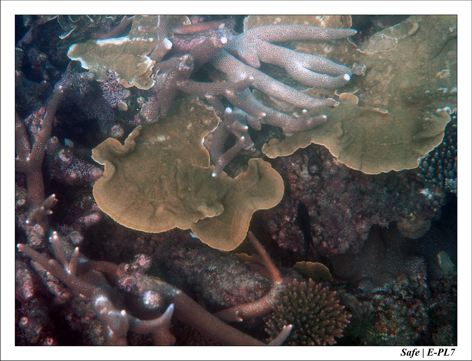 2018 - 08 - Pulau Tinggi - 06